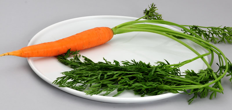 aliments a manger pour maigrir vite temps aliments a manger pour maigrir vite temps